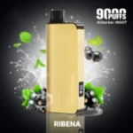 【ALIBARBAR 9000】Rribena