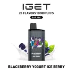 Blackberry Yogurt Ice Berry